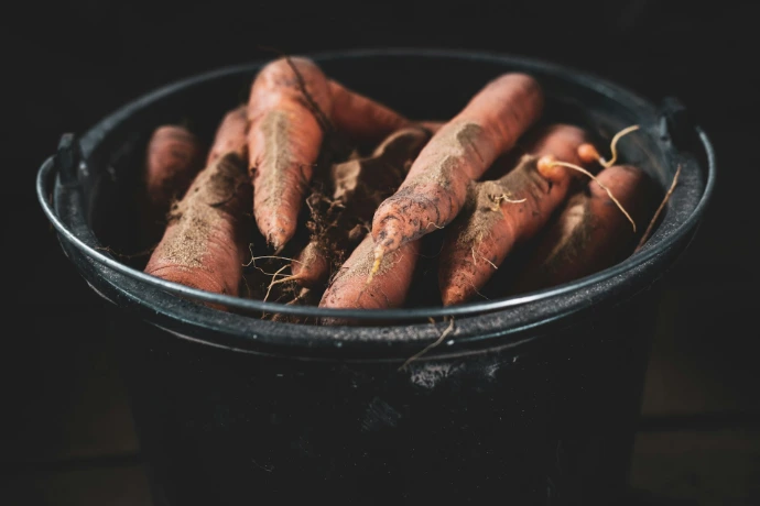 sweet potatoes